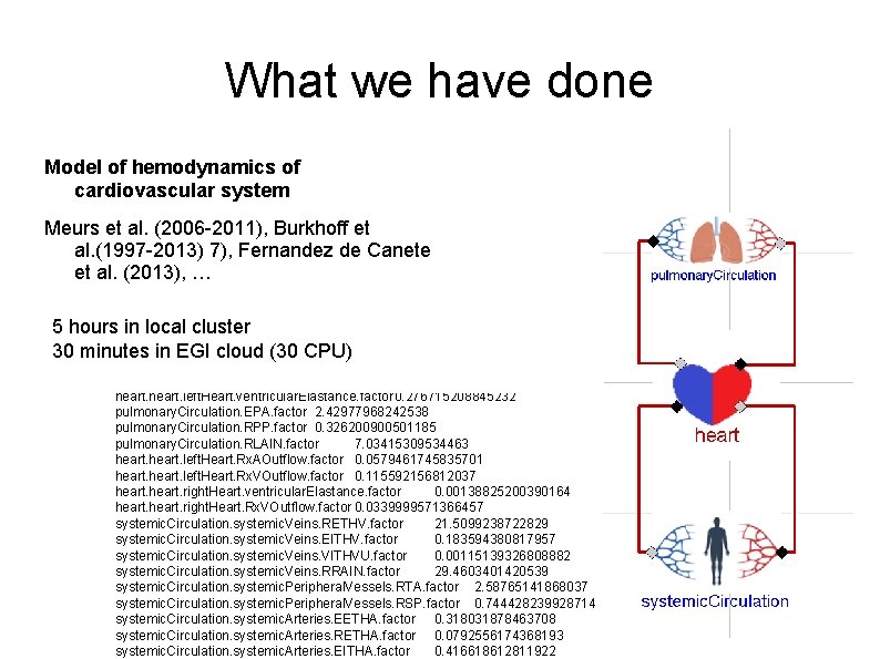 What we have done Model of hemodynamics of cardiovascular system Meurs et al. (2006