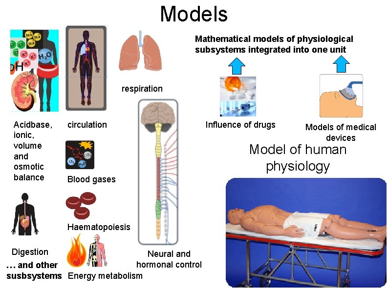 Models Mathematical models of physiological subsystems integrated into one unit respiration Acidbase, ionic, volume