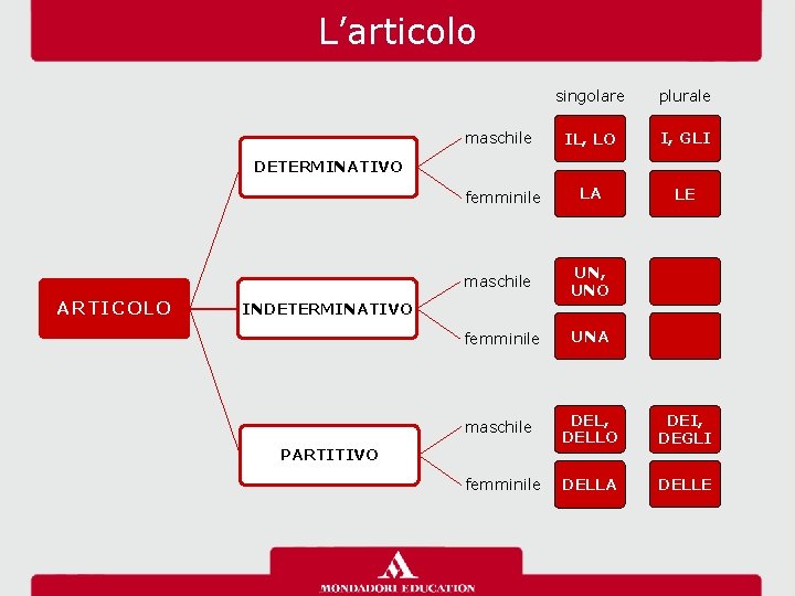 L’articolo singolare plurale maschile IL, LO I, GLI femminile LA LE DETERMINATIVO ARTICOLO maschile