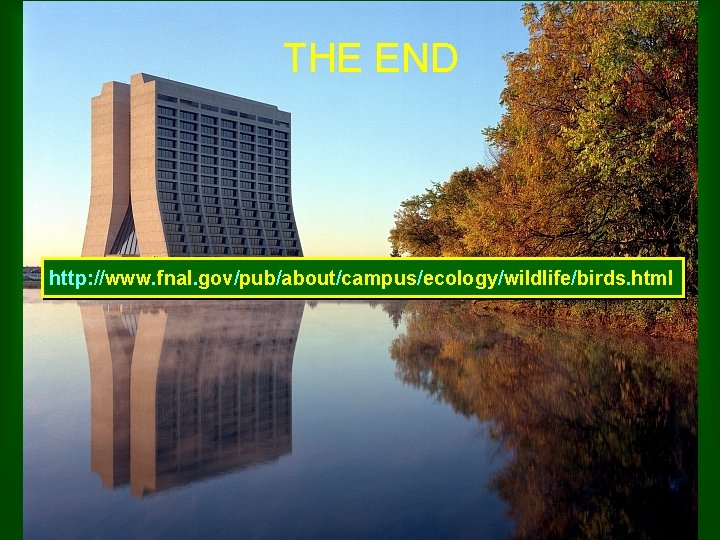 THE END http: //www. fnal. gov/pub/about/campus/ecology/wildlife/birds. html 