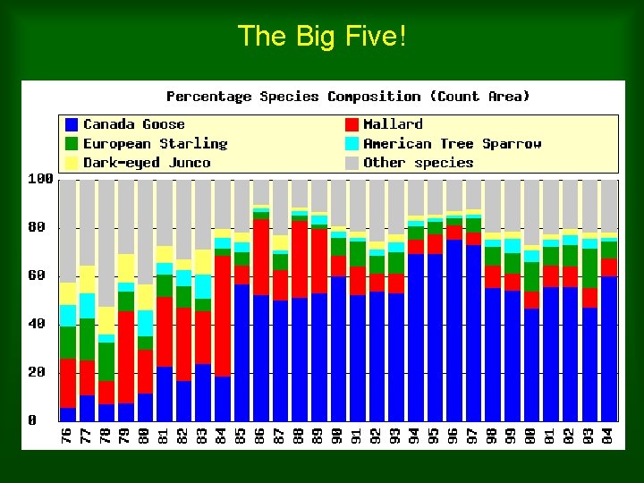 The Big Five! 