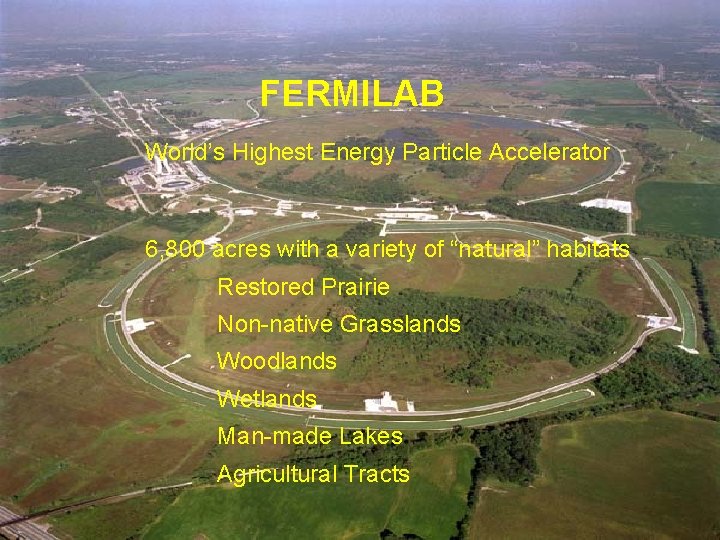 FERMILAB World’s Highest Energy Particle Accelerator 6, 800 acres with a variety of “natural”