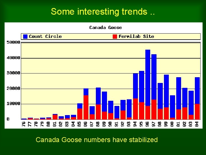 Some interesting trends. . Canada Goose numbers have stabilized 