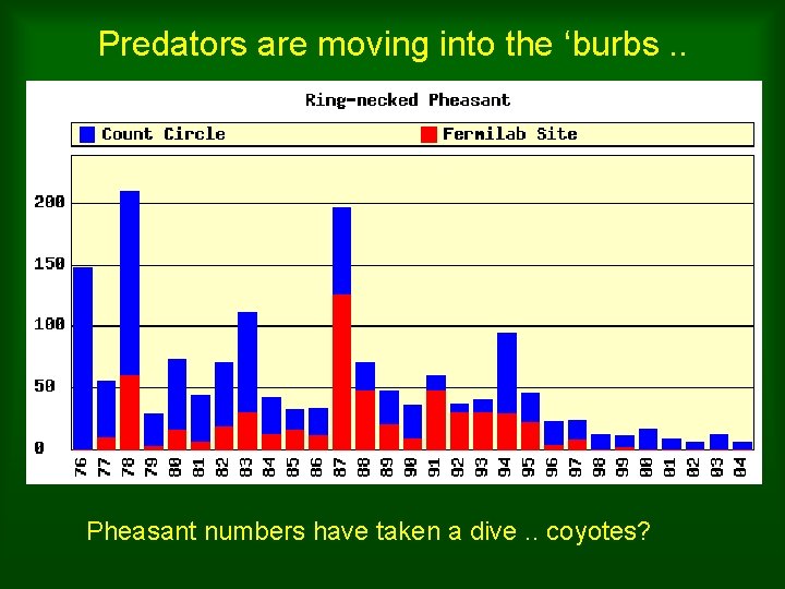 Predators are moving into the ‘burbs. . Pheasant numbers have taken a dive. .
