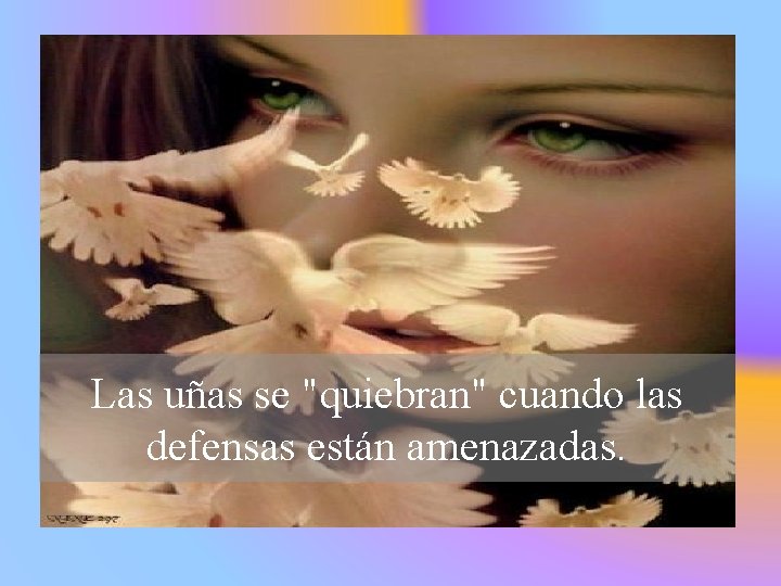 Las uñas se "quiebran" cuando las defensas están amenazadas. 