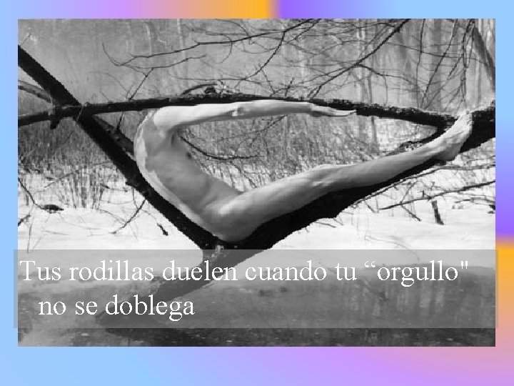 Tus rodillas duelen cuando tu “orgullo" no se doblega 