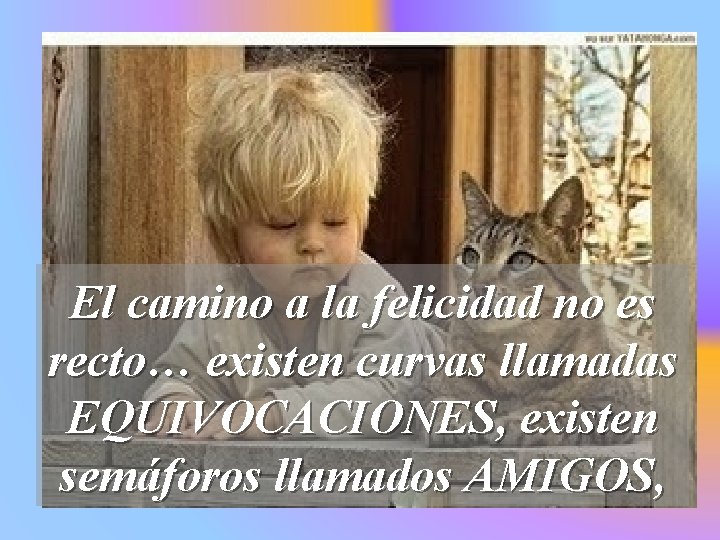 El camino a la felicidad no es recto… existen curvas llamadas EQUIVOCACIONES, existen semáforos