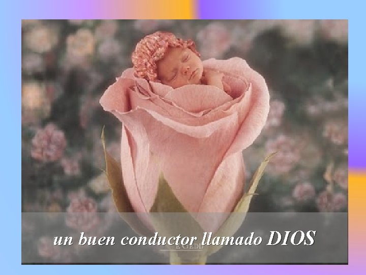 un buen conductor llamado DIOS 