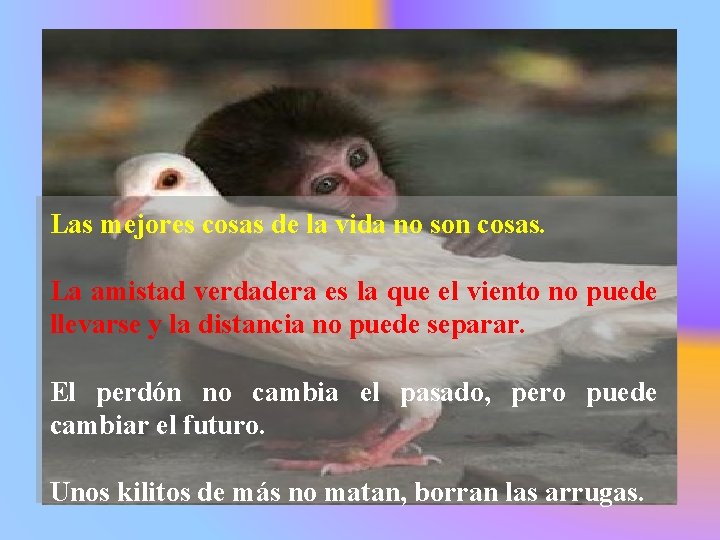 Las mejores cosas de la vida no son cosas. La amistad verdadera es la