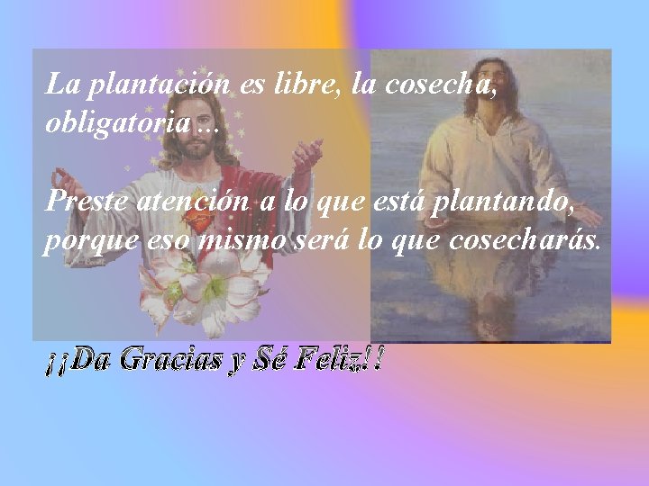 La plantación es libre, la cosecha, obligatoria. . . Preste atención a lo que