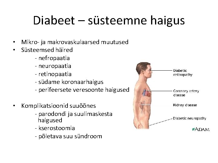 Diabeet – süsteemne haigus • Mikro- ja makrovaskulaarsed muutused • Süsteemsed häired - nefropaatia