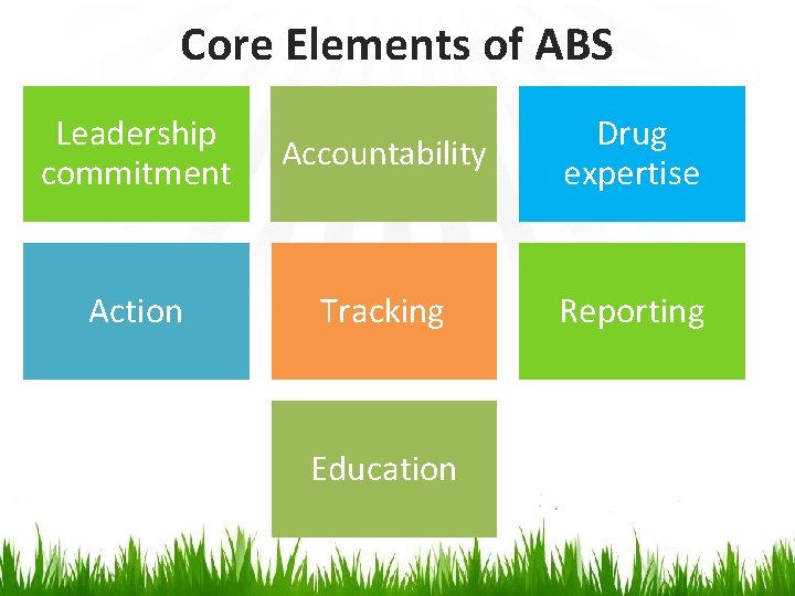 Core Elements of ABS Leadership commitment Accountability Drug expertise Action Tracking Reporting Education 