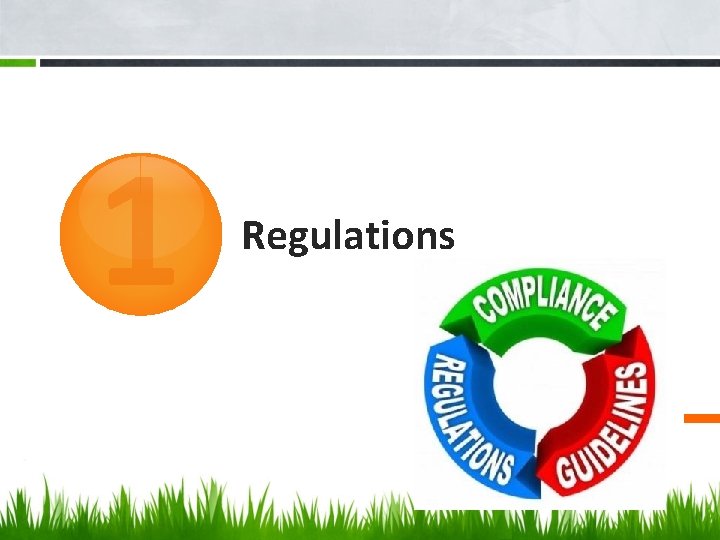 1 Regulations 