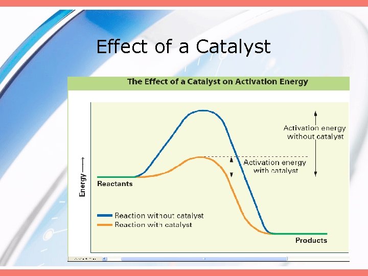 Effect of a Catalyst 