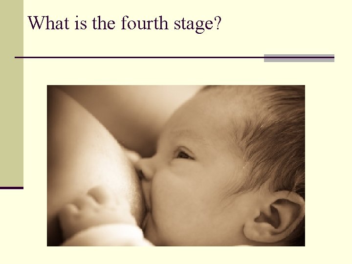 What is the fourth stage? 