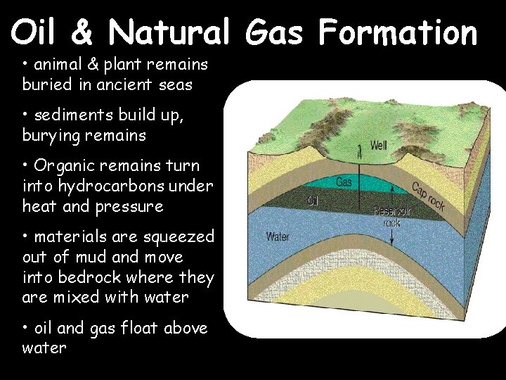 Oil & Natural Gas Formation • animal & plant remains buried in ancient seas