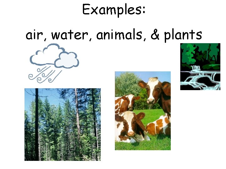 Examples: air, water, animals, & plants 