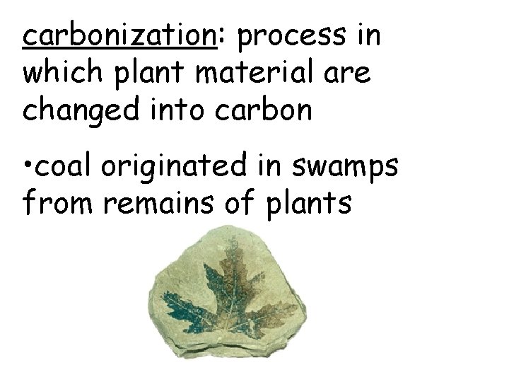 carbonization: process in which plant material are changed into carbon • coal originated in