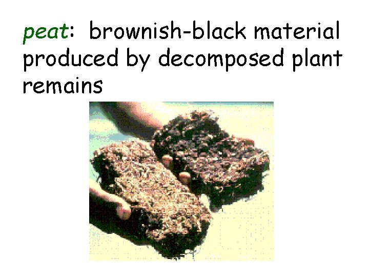 peat: brownish-black material produced by decomposed plant remains 