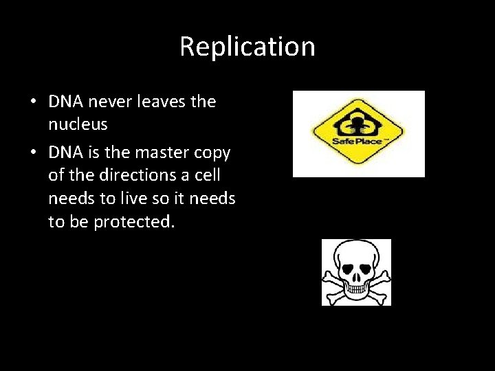 Replication • DNA never leaves the nucleus • DNA is the master copy of