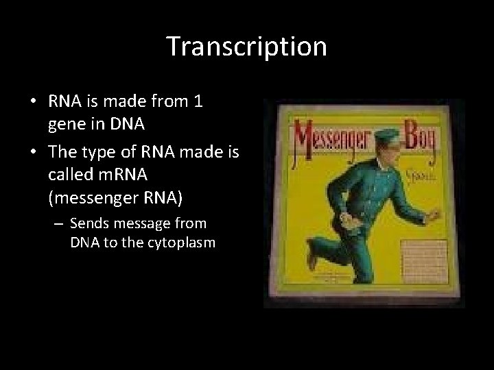 Transcription • RNA is made from 1 gene in DNA • The type of