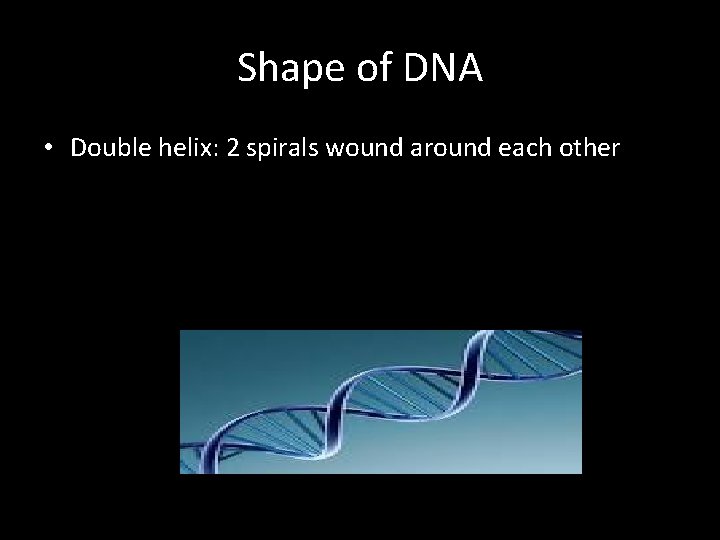 Shape of DNA • Double helix: 2 spirals wound around each other 