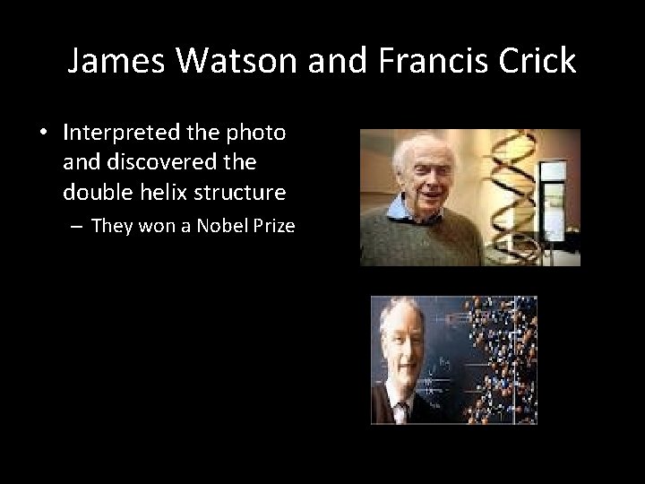 James Watson and Francis Crick • Interpreted the photo and discovered the double helix