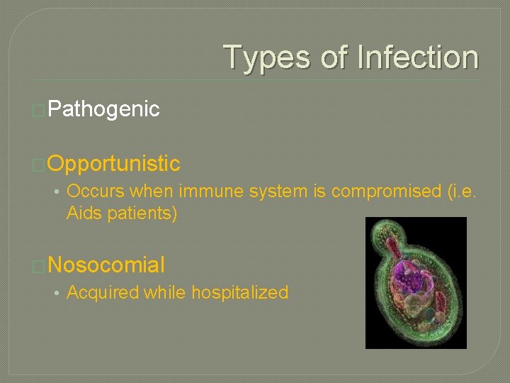 Types of Infection �Pathogenic �Opportunistic • Occurs when immune system is compromised (i. e.