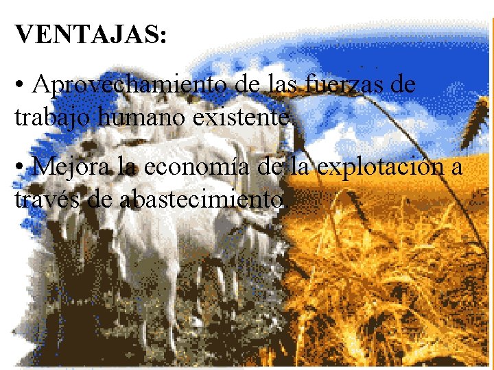 VENTAJAS: • Aprovechamiento de las fuerzas de trabajo humano existente. • Mejora la economía