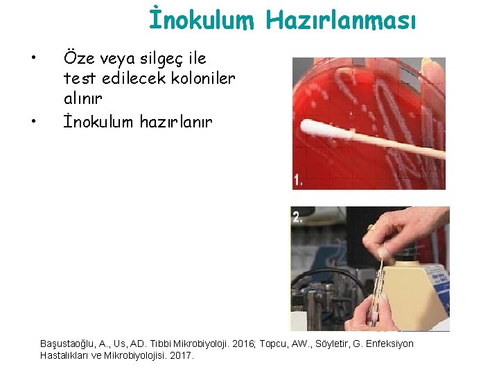 İnokulum Hazırlanması • • Öze veya silgeç ile test edilecek koloniler alınır İnokulum hazırlanır