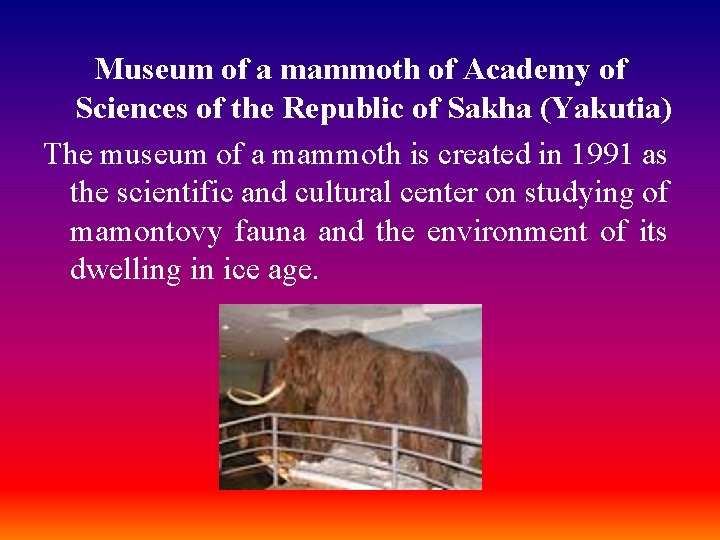 Museum of a mammoth of Academy of Sciences of the Republic of Sakha (Yakutia)