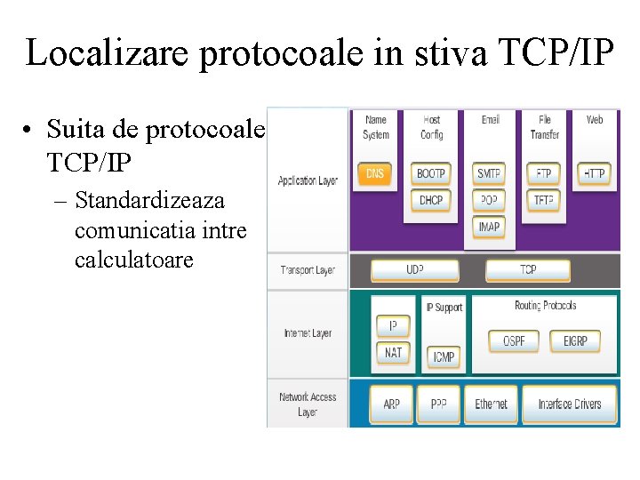 Localizare protocoale in stiva TCP/IP • Suita de protocoale TCP/IP – Standardizeaza comunicatia intre