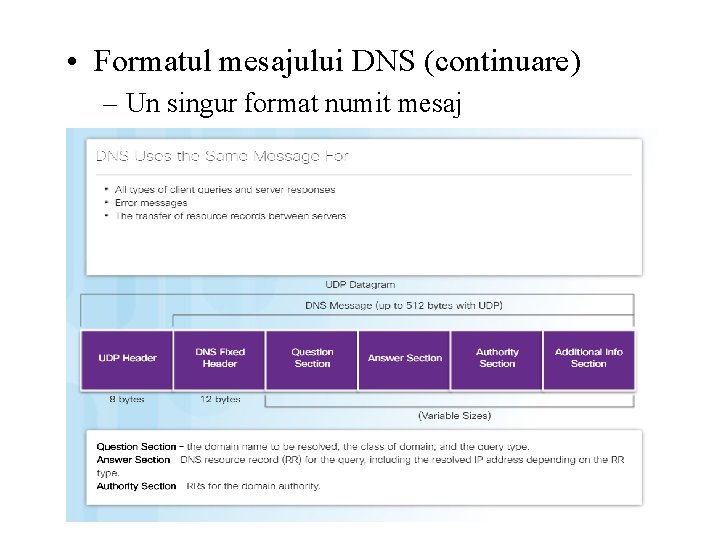  • Formatul mesajului DNS (continuare) – Un singur format numit mesaj 