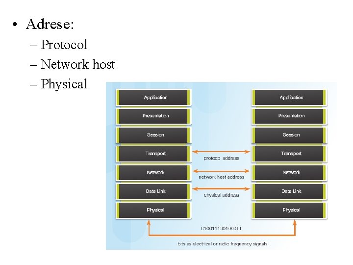  • Adrese: – Protocol – Network host – Physical 