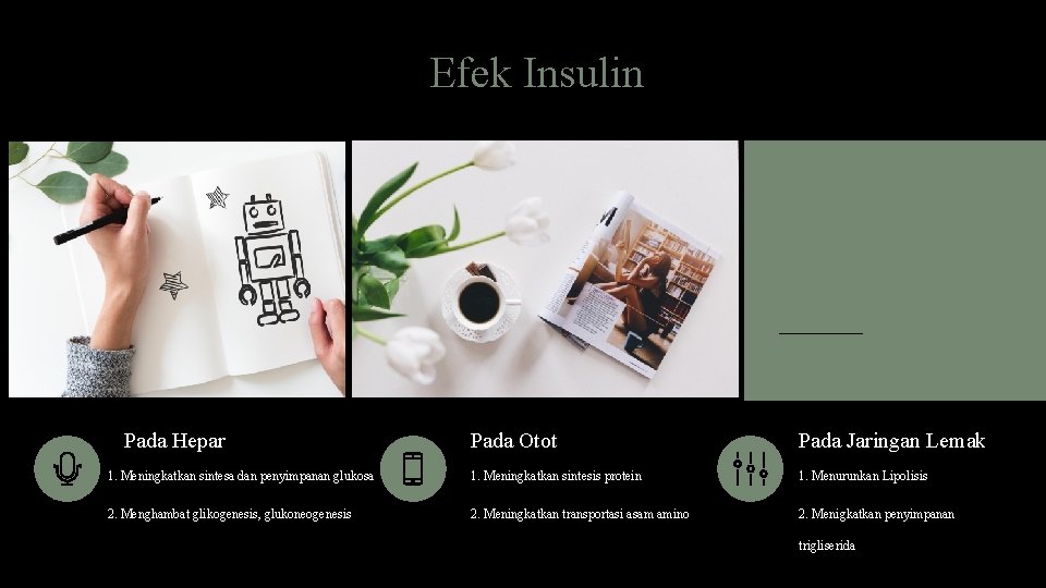 Efek Insulin Pada Hepar Pada Otot Pada Jaringan Lemak 1. Meningkatkan sintesa dan penyimpanan