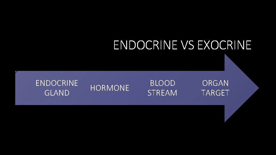 ENDOCRINE VS EXOCRINE ENDOCRINE GLAND HORMONE BLOOD STREAM ORGAN TARGET 