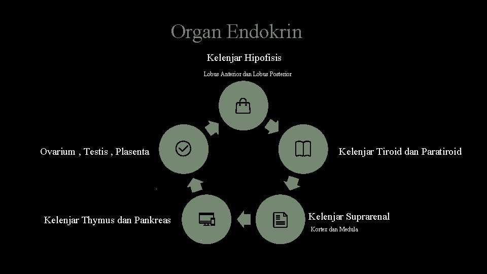 Organ Endokrin Kelenjar Hipofisis Lobus Anterior dan Lobus Posterior Ovarium , Testis , Plasenta
