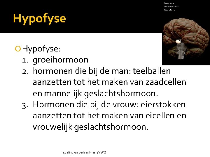 Hypofyse Hypofyse: 1. groeihormoon 2. hormonen die bij de man: teelballen aanzetten tot het