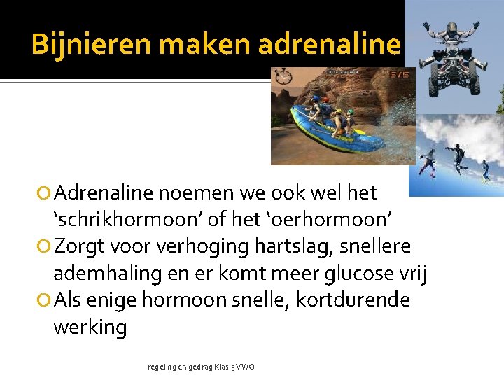 Bijnieren maken adrenaline Adrenaline noemen we ook wel het ‘schrikhormoon’ of het ‘oerhormoon’ Zorgt