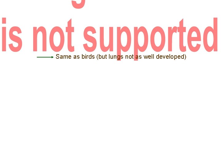 Same as birds (but lungs not as well developed) 