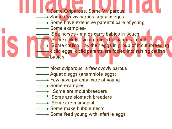 Some Oviparous, Some Viviparous, Some Ovoviviparous, aquatic eggs Some have extensive parental care of