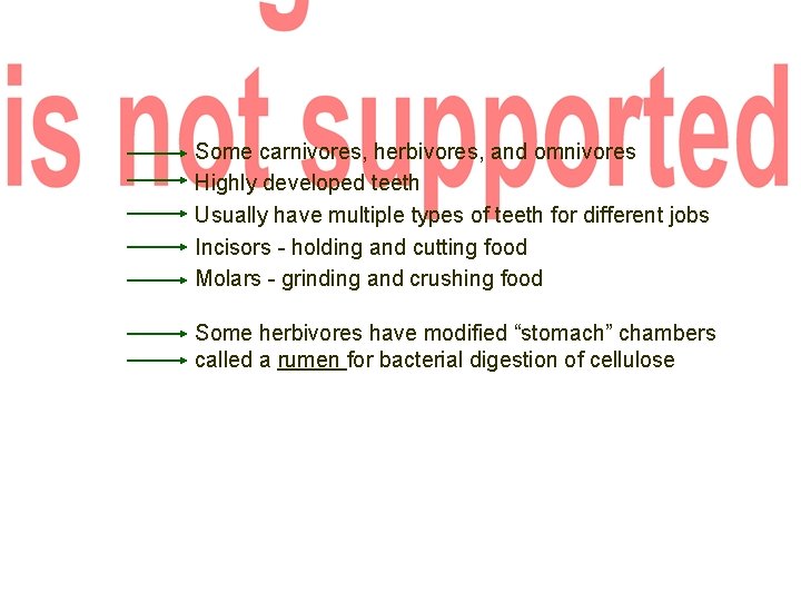 Some carnivores, herbivores, and omnivores Highly developed teeth Usually have multiple types of teeth
