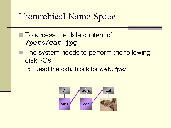 Hierarchical Name Space n To access the data content of /pets/cat. jpg n The