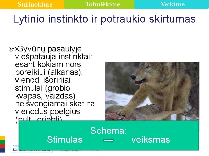 Sužinokime Lytinio instinkto ir potraukio skirtumas Gyvūnų pasaulyje viešpatauja instinktai: esant kokiam nors poreikiui