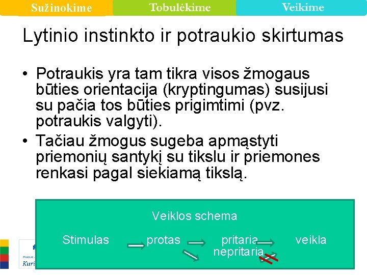 Sužinokime Lytinio instinkto ir potraukio skirtumas • Potraukis yra tam tikra visos žmogaus būties