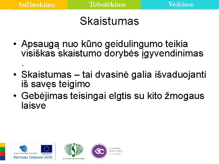 Sužinokime Skaistumas • Apsaugą nuo kūno geidulingumo teikia visiškas skaistumo dorybės įgyvendinimas. • Skaistumas