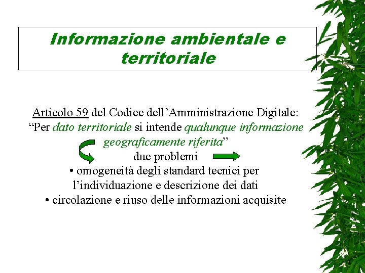 Informazione ambientale e territoriale Articolo 59 del Codice dell’Amministrazione Digitale: “Per dato territoriale si