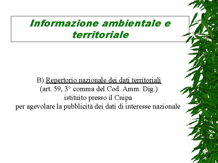 Informazione ambientale e territoriale B) Repertorio nazionale dei dati territoriali (art. 59, 3° comma