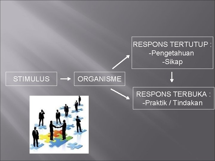 RESPONS TERTUTUP : -Pengetahuan -Sikap STIMULUS ORGANISME RESPONS TERBUKA : -Praktik / Tindakan 