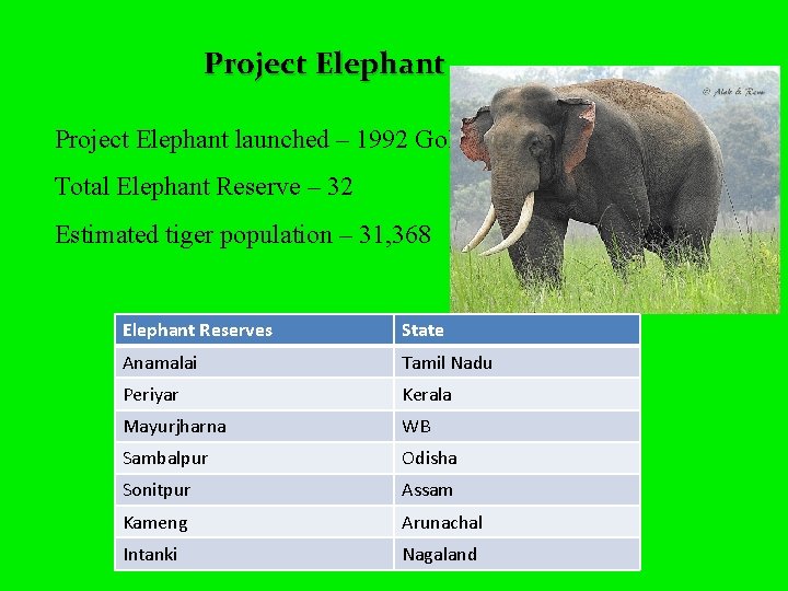 Project Elephant launched – 1992 Go. I Total Elephant Reserve – 32 Estimated tiger